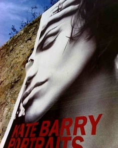 kate barry poster